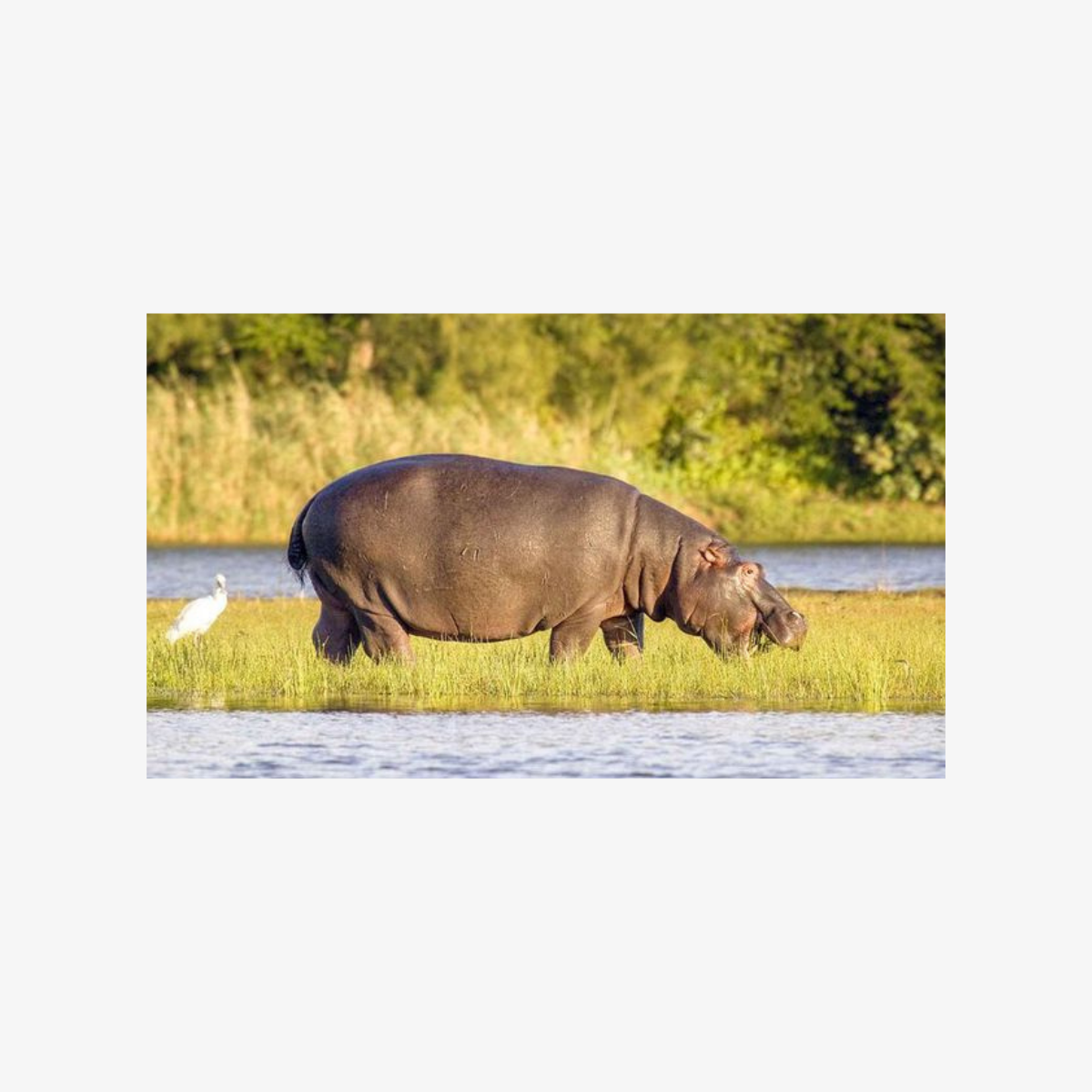 Half_Day_iSimangaliso-1